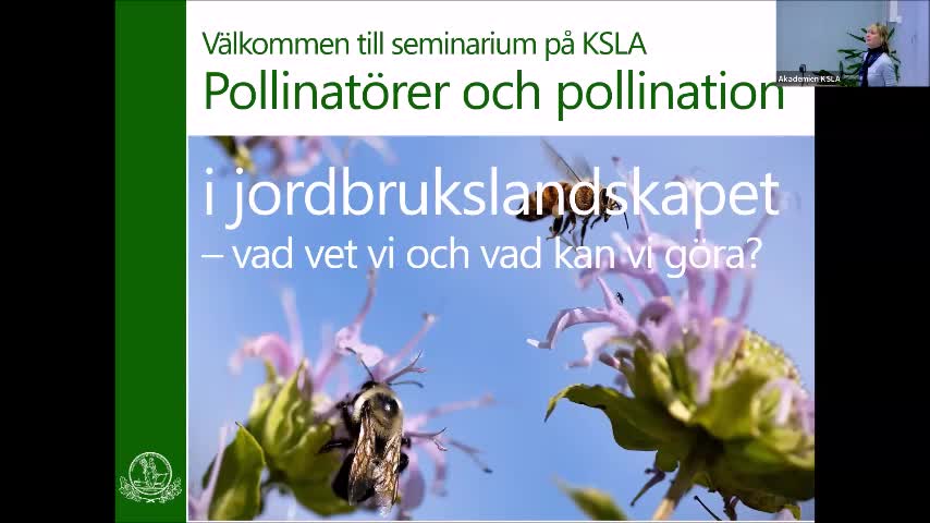 Pollinatörer och pollination i jordbrukslandskapet – vad vet vi och vad kan vi göra? 13 feb 2024