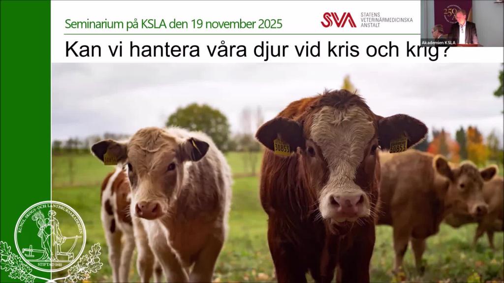 1. Kan vi hantera våra djur vid höjd beredskap, kris och krig? 19 nov 2025