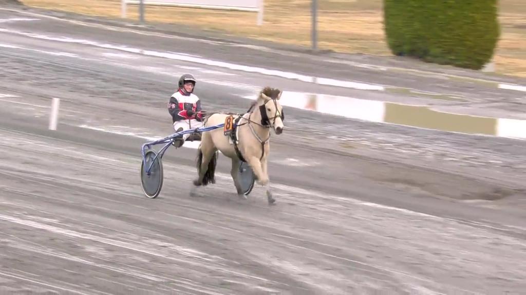 OAT og TGNs ponniløp, Bjerke travbane 11. april 2023