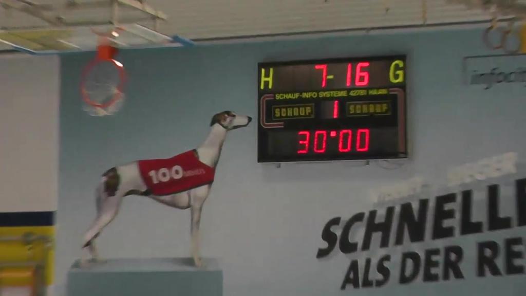 HC Elbflorenz Dresden vs. SG Flensburg-Handewitt