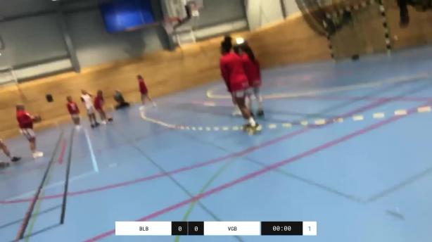Blackeberg Basket F-06 - VGB F-06