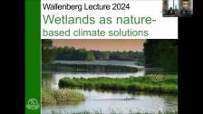 Wetlands as a Nature-based Climate Solution 11 sept 2024