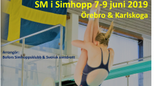 SM i simhopp Finalpass lördagen 8/6 (eftermiddag)