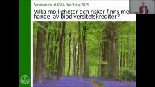 93fdd336 8fe0 4aee b15d 1612b1a070dc