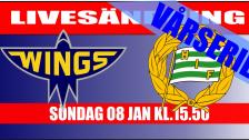 Wings-Hammarby