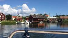 Politik och skärgårdsliv