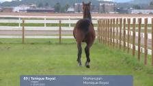 # 89 - Tonique Royal