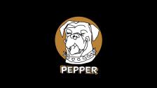 Pepper – Pandox new corporate dog
