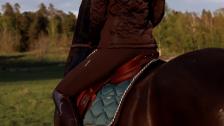 Horse FW19