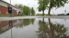 ullviloppet20260513