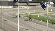 Thumb ml88z4ul 010