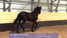 # 105 - Kjølstad Dronninga